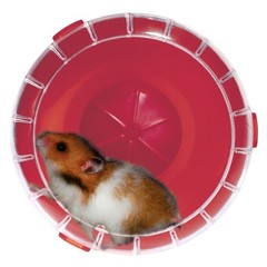 Zolux Rody silent wheel mini- kołowrotek dla myszek i chomików