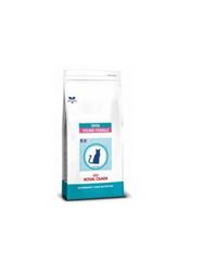 Royal Canin Cat skin young female s/o 