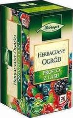 Herbapol Herbaciany Ogród Prosto z lasu Herbatka owocowo-ziołowa 50 g (20 torebek)