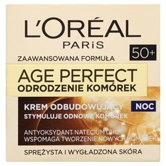 L'Oréal Paris Age Perfect Odrodzenie Komórek 50+ Krem odbudowujący na noc