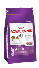 Royal Canin Giant adult 