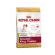 Cavalier King Charles Adult - karma dla psów