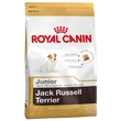 Jack Russell Terrier junior karma dla szczeniąt