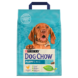 DOG CHOW Puppy Karma z kurczakiem 2,5 kg