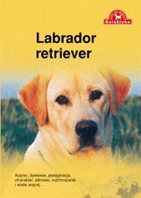 Wydawnictwo Galaktyka Pies na medal: Labrador retriever