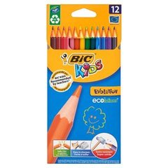 Bic Kids Evolution Kredki bezdrzewne z żywicy syntetycznej 12 kolorów