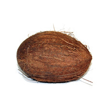 Pozostali producenci Orzech kokosowy