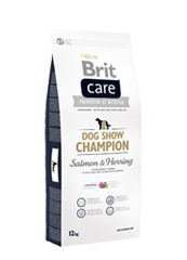 Brit Care Dog Show Champion 