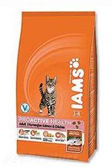 Iams Adult Salmon 