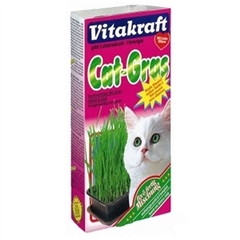 Vitakraft Cat grass- trawa dla kota