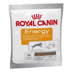 Royal Canin Energy- zdrowy przysmak dla psów aktywnych