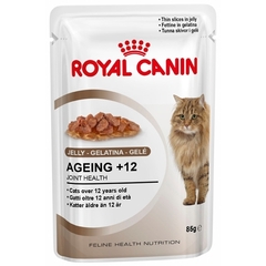 Royal Canin Ageing +12 w galaretce karma dla kotów powyżej 12 roku życia