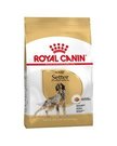 Royal Canin Setter  Adult 12 kg
