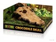 Dekoracja do terrarium krokodyla czaszka