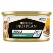 Pro Plan Cat Adult, 24 x 85 g Kurczak