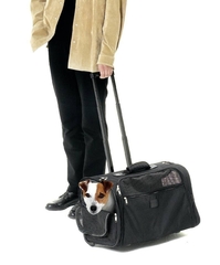 Karlie smart trolley- niezwykle praktyczny transporter dla psa lub kot