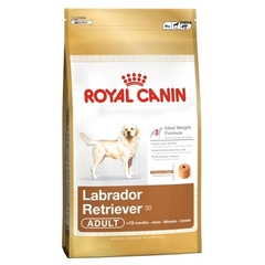 Royal Canin Labrador Retriever Adult karma dla psów dorosłych