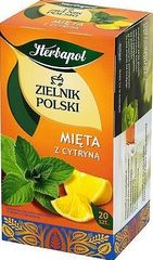Herbapol Zielnik Polski Mięta z cytryną Herbatka ziołowo-owocowa 30 g (20 saszetek)