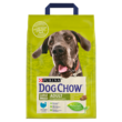 DOG CHOW Large Breed Adult Karma z indykiem 2,5 kg