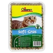 Soft Grass trawa dla kotów w pojemniku