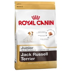 Royal Canin Jack Russell Terrier junior karma dla szczeniąt