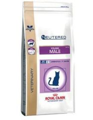 Royal Canin  Cat young male 