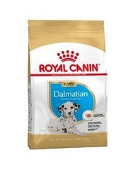 Royal Canin Breed Royal Canin Dalmatian Junior 12 kg