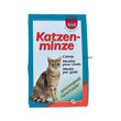 Katzen minze - zioła dla kota- kocimiętka