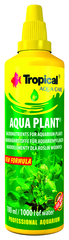 Tropical Aqua Plant