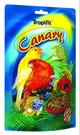 Kanarek (canary)- pokarm dla kanarków