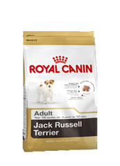Royal Canin Jack Russell Terrier adult karma dla psów dorosłych
