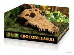 Exo Terra Dekoracja do terrarium krokodyla czaszka