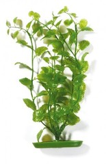 MARINA Roślina sztuczna cardamine 30cm
