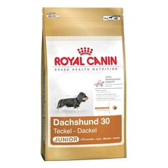 Royal Canin Dachshund Junior karma dla szczeniąt