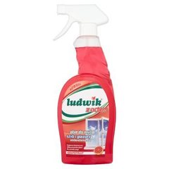 Ludwik Z octem Grapefruit Płyn do mycia szyb i glazury