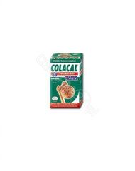 Gorvita Colacal kolagen z wapniem