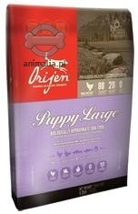 Orijen Dog Puppy Large sucha karma dla szczeniąt ras dużych