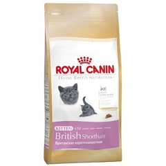 Royal Canin British Shorthair Kitten karma dla kociąt