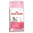 Kitten karma dla kociąt
