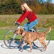Jogging - smycz do joggingu i jazdy na rowerze z psem