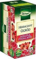 Herbapol Herbaciany Ogród Malina z dzika różą Herbatka owocowo-ziołowa 60 g (20 saszetek)