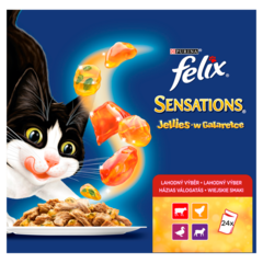 Felix Sensations Karma dla kotów wiejskie smaki w galaretce 2400 g (24 x 100 g)