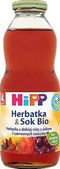 Hipp BIO Herbatka & Sok Bio z dzikiej róży z sokiem z czerwonych owoców po 4. miesiącu