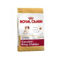 Royal Canin Cavalier King Charles Adult - karma dla psów