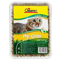Gimpet Hy Grass trawa dla kotów w pojemniku