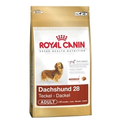 Royal Canin Dachshund Adult karma dla psów dorosłych