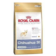 Royal Canin Chihuahua Junior karma dla szczeniąt