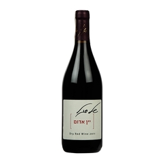 Shell Segal Cabernet Sauvignon Wino izraelskie czerwone wytrawne