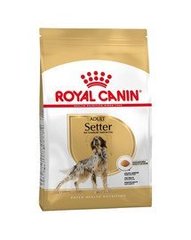 Royal Canin Breed Royal Canin Setter  Adult 12 kg