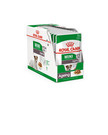 ROYAL CANIN Mini ageing 12+ 12x85 g